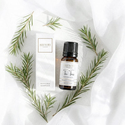 Luxury tea tree essential oil bottle with box and green leaves on a textured white background